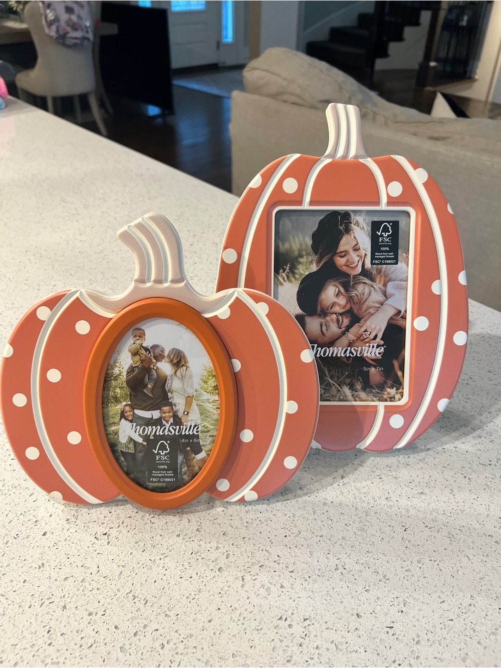 Thomasville Orange Polka Dot Pumpkin Picture Frame - Festive Tabletop Décor